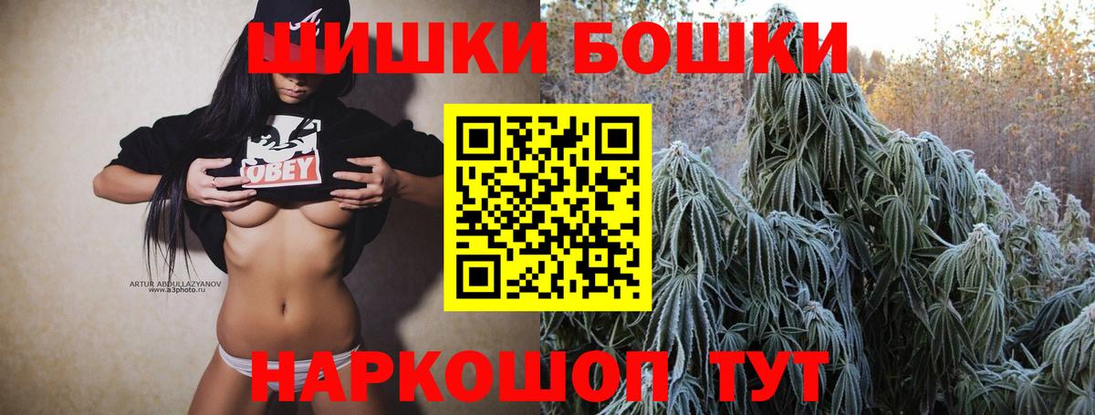 Бошки марихуана индика  Канабис планчик  Канабис конопля  Шарыпово  Вход с VPN 